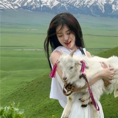兽娘动物园海报