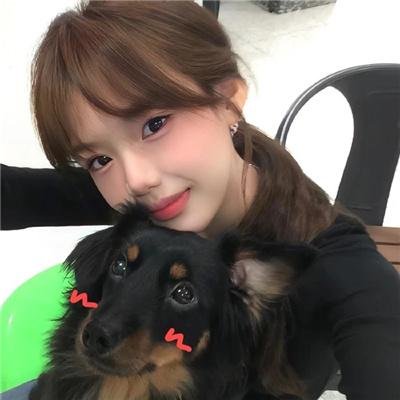 猫片之无喵生还海报